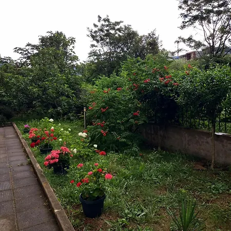 Panoramic Butterfly *