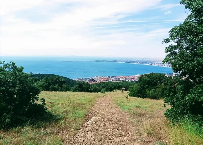 Panoramic Butterfly * סבטי ולאס